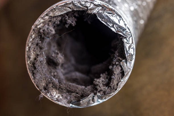 Best Commercial Air Duct Cleaning  in USA